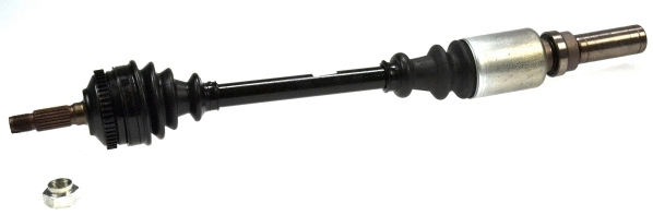 Drive Shaft (21700)