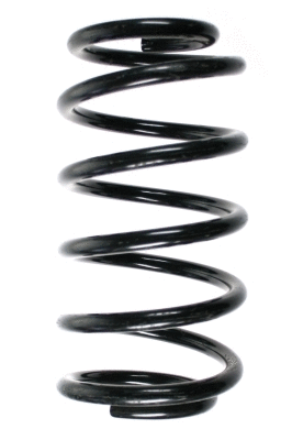 Suspension Spring (49491)