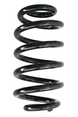 Suspension Spring (86598)