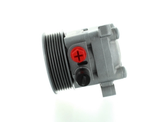 Hydraulic Pump, steering (54888)