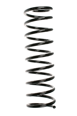 Suspension Spring (48273)