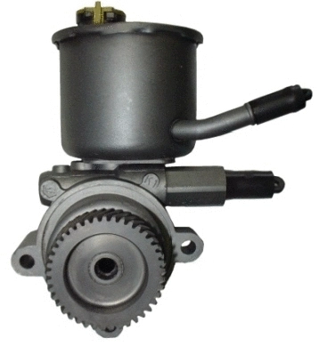 Hydraulic Pump, steering (54422)