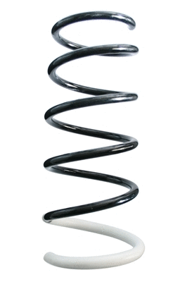 Suspension Spring (87042)