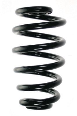 Suspension Spring (56869)
