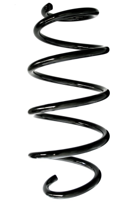 Suspension Spring (GKNW10073)