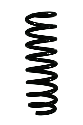 Suspension Spring (87141)