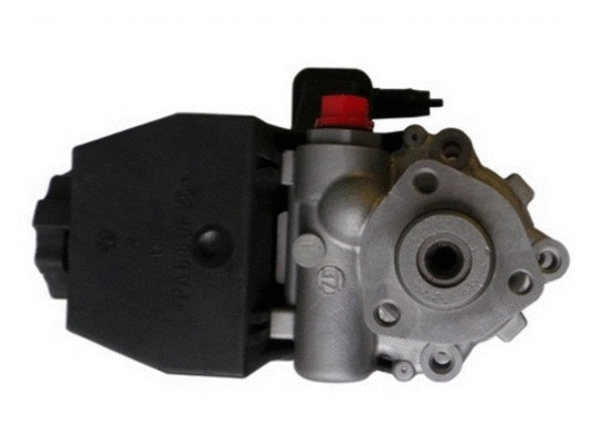 Hydraulic Pump, steering (54079)