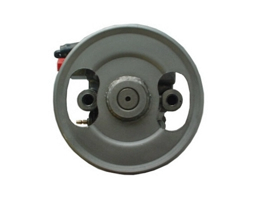 Hydraulic Pump, steering (54306)
