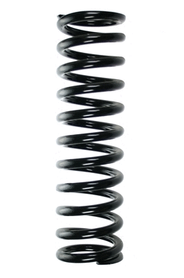 Suspension Spring (55601)