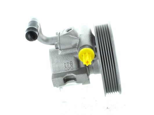 Hydraulic Pump, steering (GKNY10037)