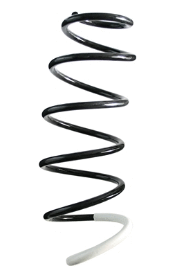 Suspension Spring (85847)