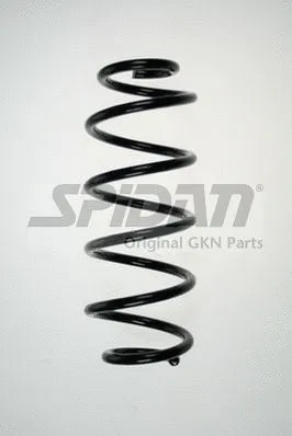 Suspension Spring (85815)