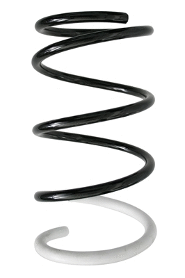 Suspension Spring (87079)