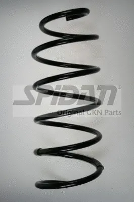 Suspension Spring (85689)