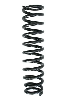 Suspension Spring (55407)