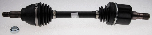 Drive Shaft (25889)