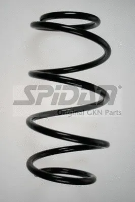 Suspension Spring (85957)