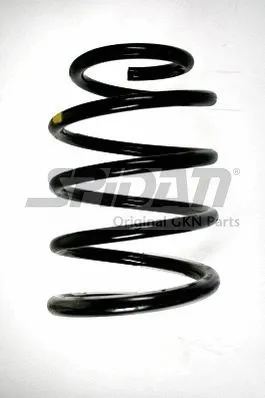 Suspension Spring (85401)