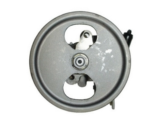 Hydraulic Pump, steering (53589)