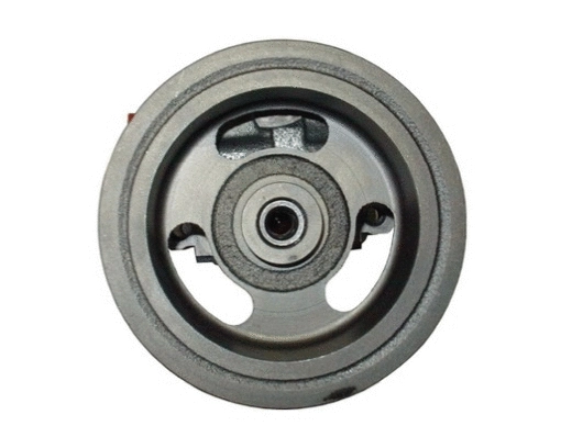 Hydraulic Pump, steering (54178)