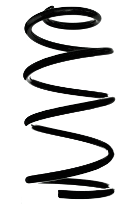 Suspension Spring (88392)