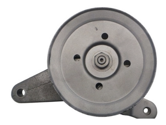 Hydraulic Pump, steering (53613)