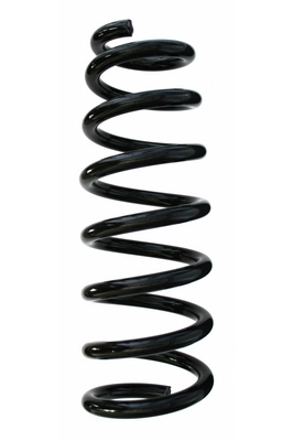 Suspension Spring (GKNW10069)