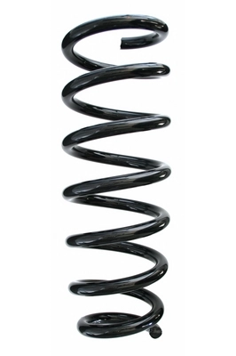 Suspension Spring (GKNW10067)