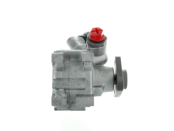 Hydraulic Pump, steering (54771)