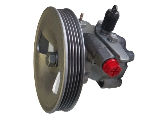 Hydraulic Pump, steering (54651)