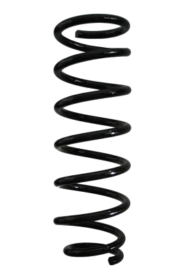 Suspension Spring (85481)