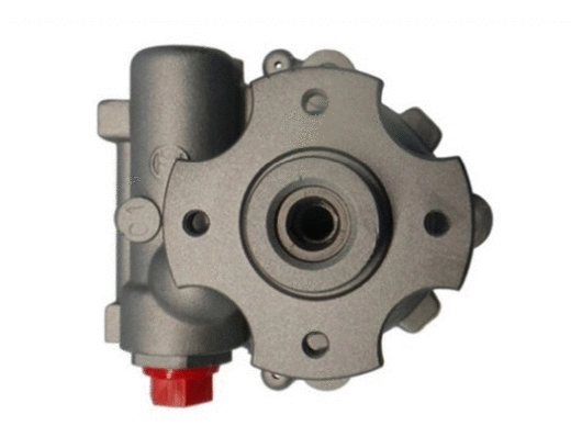 Hydraulic Pump, steering (54769)
