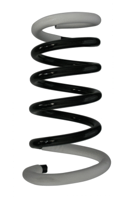 Suspension Spring (56571)