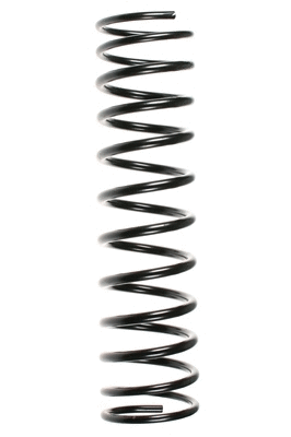 Suspension Spring (48130)