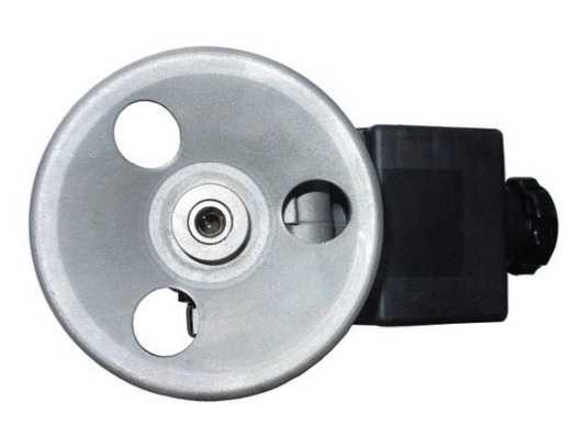 Hydraulic Pump, steering (52609)