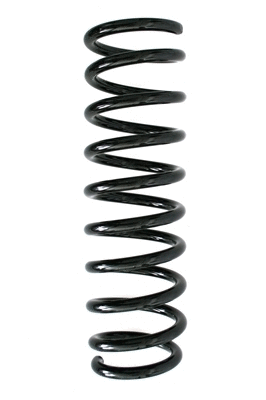 Suspension Spring (85938)