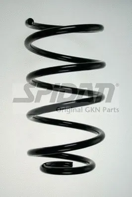 Suspension Spring (85876)