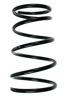 Suspension Spring (55695)