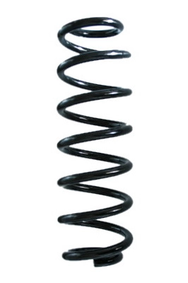 Suspension Spring (GKNW10039)
