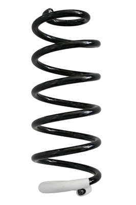 Suspension Spring (87367)