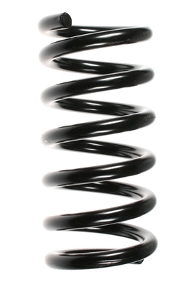 Suspension Spring (55360)