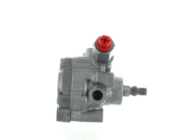 Hydraulic Pump, steering (54602)