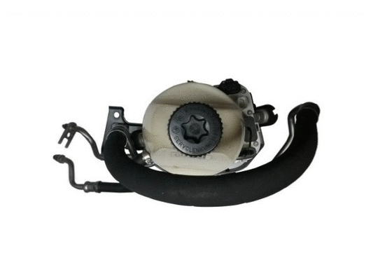 Hydraulic Pump, steering (54472)