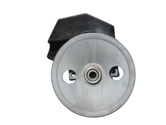 Hydraulic Pump, steering (53972)