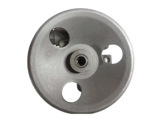 Hydraulic Pump, steering (54419)