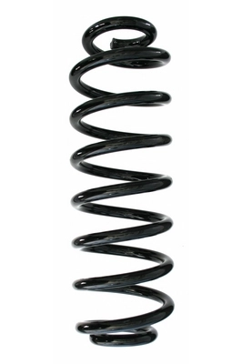 Suspension Spring (GKNW10082)