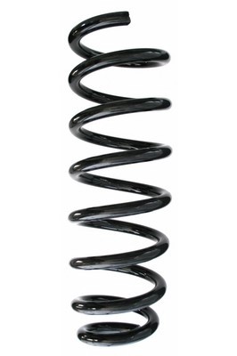 Suspension Spring (GKNW10065)