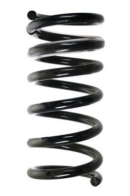 Suspension Spring (85273)