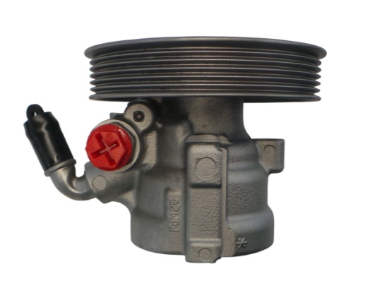 Hydraulic Pump, steering (GKNY10061)