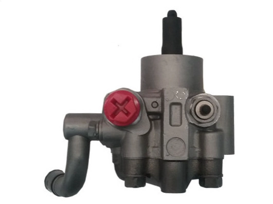 Hydraulic Pump, steering (GKNY10085)